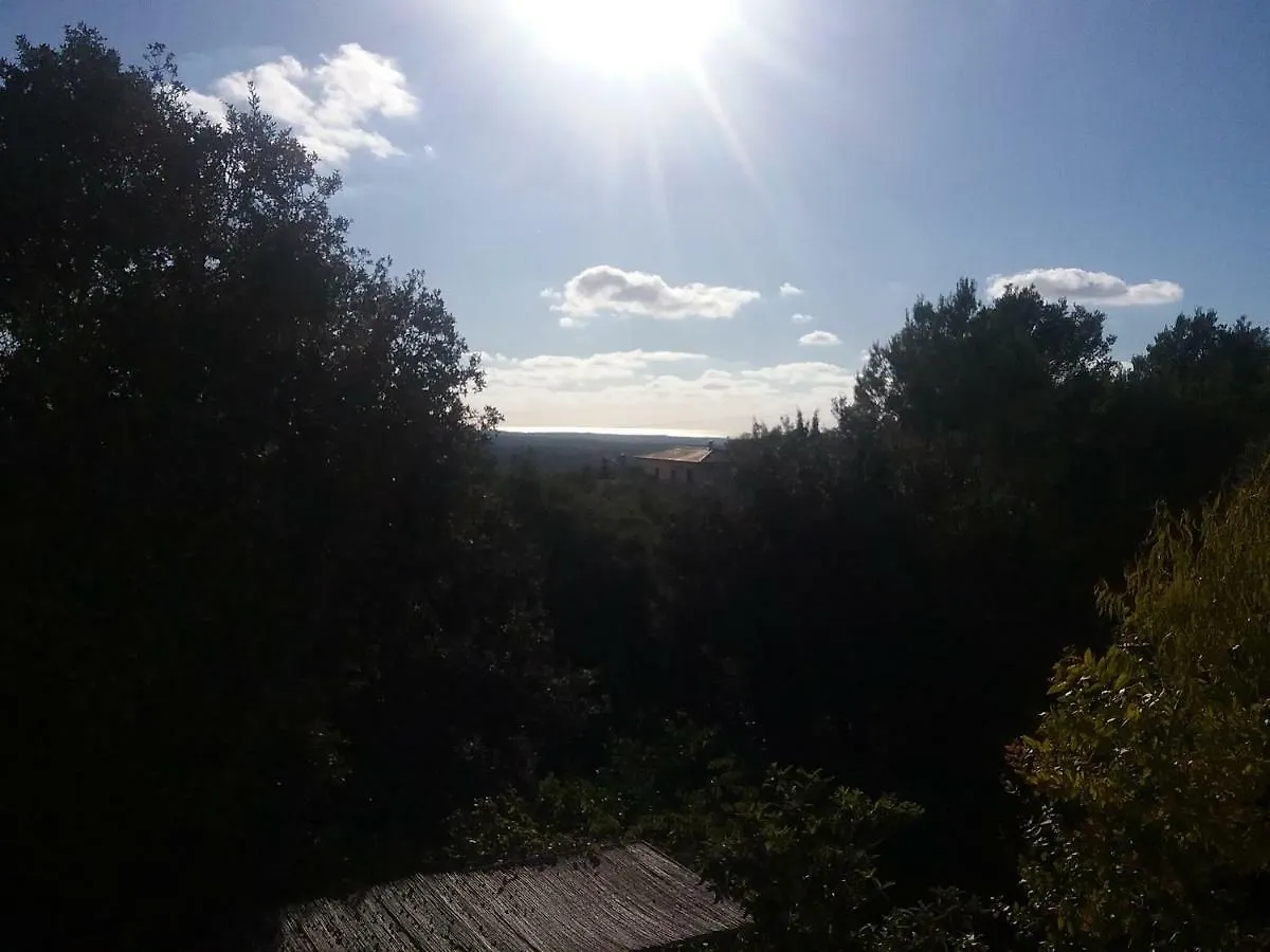Ses Alzines Apartamento Integrado En Casa Rural Habitada Llucmajor  Llucmajor (Mallorca)